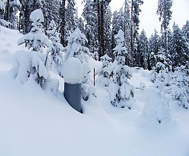 Überfüllter Schneesammler bei Beatenberg BE, im Winter 2004/2005.