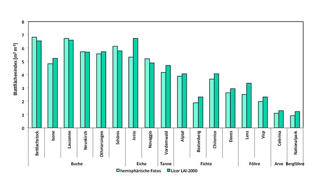 Grafik: Blattflächenindex (LAI) auf den LWF-Flächen in 2011 