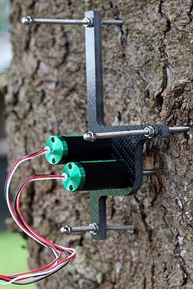 Dendrometer mit zwei Sensoren an einem Fichtenstamm im Zürcher Oberland (Quelle: Natkon.ch)