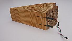 Saftflusssensor nach der Granier-Methode an einem Holzstück demonstriert.